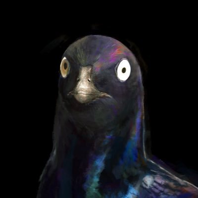 Gael casas's profile picture