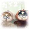 Profilbild von あやぱーく