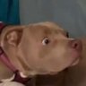 Paris's profile picture