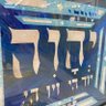 אריה גלהר ari galahar's profile picture