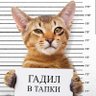 0борM®T profil fotoğrafı