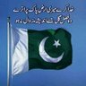 Shahid Ali's profile picture