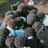 Phindz's profile picture