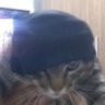 Profilbild von zikado