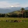 Фото профиля Bosques de Palermo