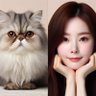 boleh kosong's profile picture