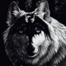 🐺Wolfdragon🐉 🇺🇲 的头像