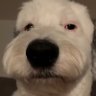 Profilbild von Mario