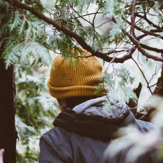 rob 🌿's profile picture