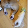 Фото профиля ちーまま