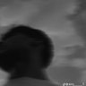 Фото профиля Wd Begun249