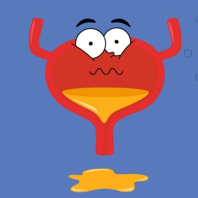 xixinasroupas's profile picture
