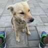 Abhishek Kumar profil fotoğrafı