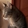 marivel arguello profil fotoğrafı