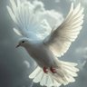 RostroDangel profil fotoğrafı