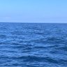 Фото профиля AM_TF38