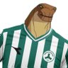 Giresunsporlu İnsanazor's profile picture