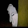 Josephayobami's profile picture