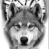 Wolf-specter's profile picture