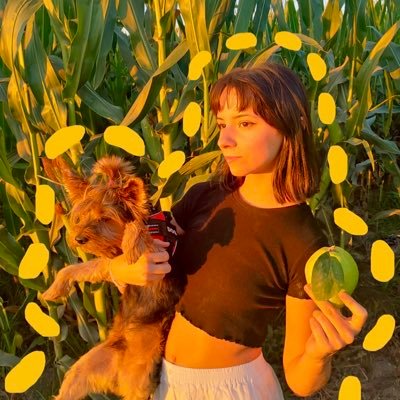 Níspero's profile picture