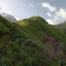 Profilbild von Lemuria ⛰️ 🇻🇪