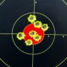 Freedomisdoingwhatyoulike's profile picture