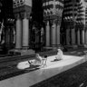Фото профиля صدقة عن والديني وعن امواتنا واموات المسلمين..