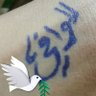 الوافي العبدلي's profile picture