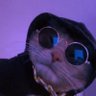 Profilbild von oDrew