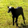 Profilbild von springvalley322