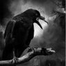 Фото профиля El Cuervo