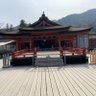 はーるー⛩🐍 🧁໒꒱· ﾟ profil fotoğrafı