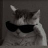 𓂀's profile picture