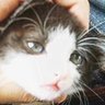doe profil fotoğrafı