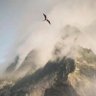 Фото профиля Cold-Mountain