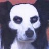 Profilbild von Timer Revel