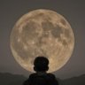حمیدِ چو تختهپاره بر موج رها رها رها من profil fotoğrafı