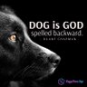 Фото профиля Dogs Lives Matter