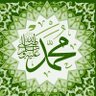Noor's profile picture