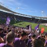 Toulousaing 💜's profile picture