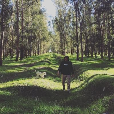 Taner Akıl's profile picture
