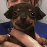 Profilbild von Antoinnee