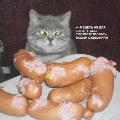 gribanovskaja_'s profile picture