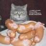 Profilbild von уважаемая пантера