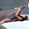 Curly Flipper's profile picture