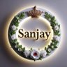 parasar sanjay's profile picture