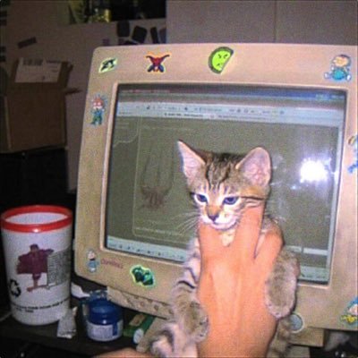 yuwna43's profile picture