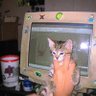 yuwan profil fotoğrafı