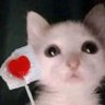 C.'s profile picture