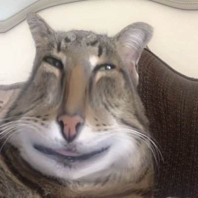 eieikiku's profile picture